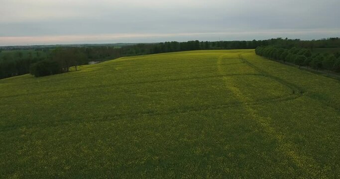 Rapefield in Countryside South Sweden Sk&aring;ne, &Ouml;sterlen, Tosterup, Aerial Medium