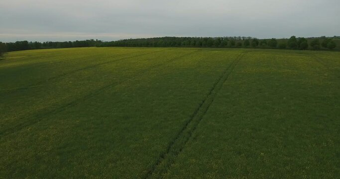Rapefield High Altitude in Countryside South Sweden Sk&aring;ne, &Ouml;sterlen, Tosterup, Aerial High Forward