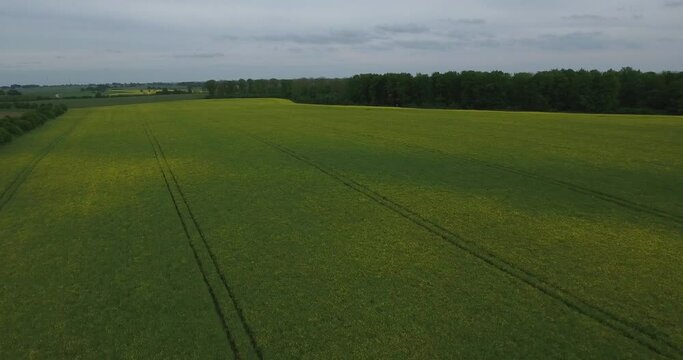 Farming Field, Countryside South Sweden Sk&aring;ne, &Ouml;sterlen, Tosterup, High Aerial Froward