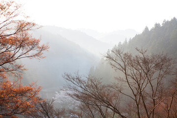 吉野山