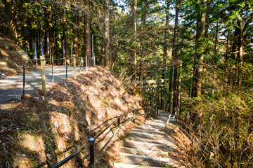 玉置神社の参道 © Paylessimages