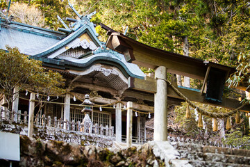 玉置神社境内 © Paylessimages