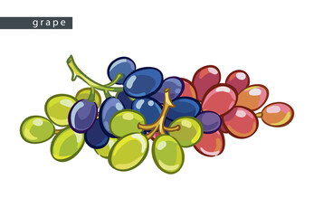 sketch_blue_pink_and_green_grape_small_pile