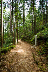 Obraz premium 熊野古道