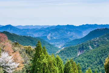 Fototapeta na wymiar 熊野古道から見た風景