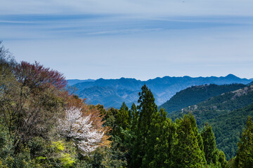 熊野古道から見た風景