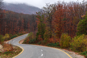 Fototapeta premium Winding road in the autumn mountain forest