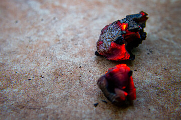 small red dragon