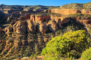 Colorado National Monument, Grand Junction, USA