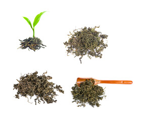 tea leaf isolated on white background