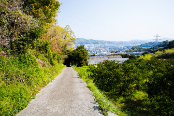 熊野古道から見た海南市