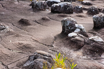 Landscape & Nature (Khao Kho, Thailand)