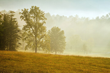 Morning misty scene at Cades Cove