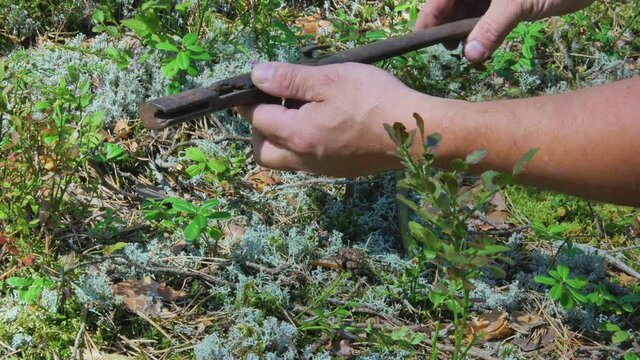 A Man Finds Rifle Weapon Dagger Blade In The Forest Moss