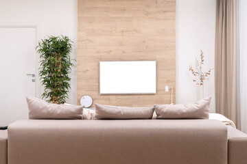 Modern minimalistic luxury apartment with couch, pillows and blank flat-screen lcd TV on the wooden wall, vase and plant