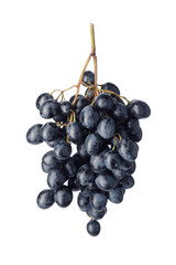 Sweet ripe grapes on white background