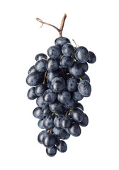 Sweet ripe grapes on white background