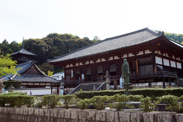 Fototapeta na wymiar 當麻寺の本堂