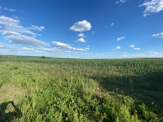 field and blue sky