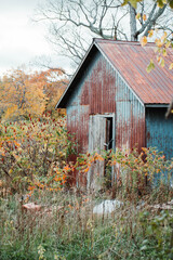 old shed falling apart with fall trees in the background