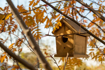 A wooden birdhouse hangs on a tree, on a chain. Autumn.