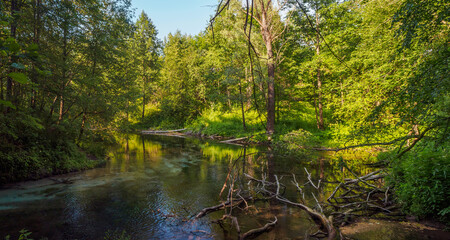 The most famous source of natural mineral water, wellspring. Green welspring at the maple mountaim in Mari El, Russia