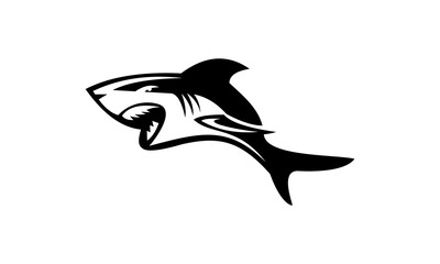 shark logo 