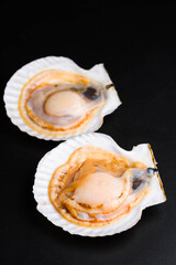 貝殻付きホタテ貝