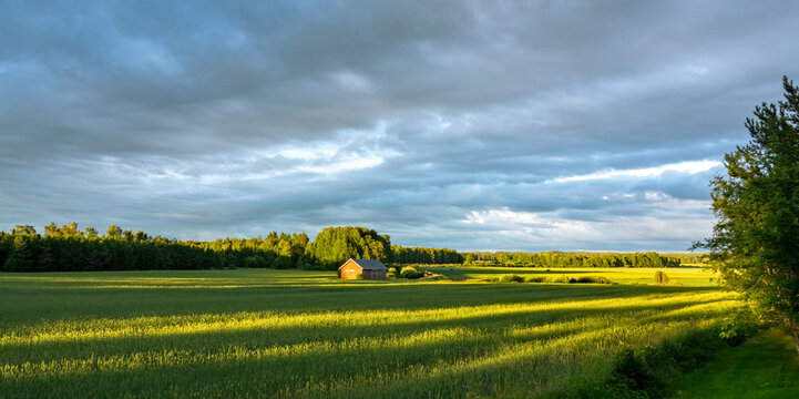 Countryside scenery in summertime, Southwest Finland