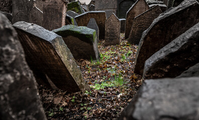Obraz premium Old Jewish Cemetery in Prague