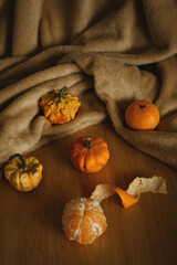 Fototapeta premium autumn still life with tangerine and little pumpkins in the background