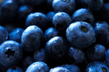 Blueberry Background Material. Ripe blueberries covered in drops of water.
