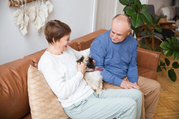 A happy senior couple with Pet Dog sitting on a sofa indoors  at home.
