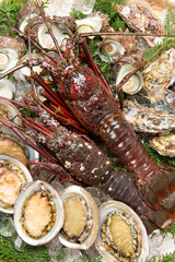 伊勢海老と魚貝類