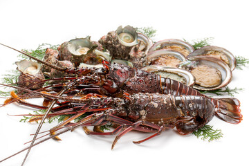 伊勢海老と魚貝類