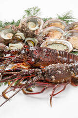 伊勢海老と魚貝類