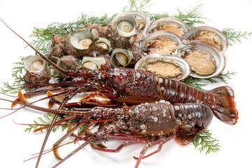 伊勢海老と魚貝類