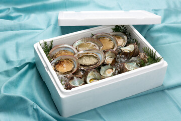 魚貝類の贈り物