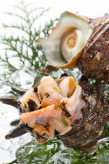 アワビのお造り