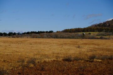 Obraz premium 大自然