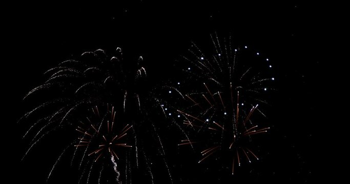 Fireworks Stock Footage In Black Background