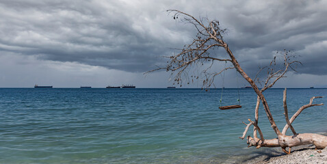Panorama of cloudy sea views, swings on a fallen tree and cargo ships. Homemade sea swings on a wild beach entertain tourists. The outskirts of the resort of Gelendzhik. Russia, Black sea coast