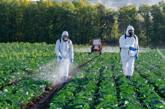 farmer spraying pesticide field mask harvest protective chemical