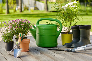 gardening, farming and planting concept - garden tools, flower seedlings and rubber boots on wooden terrace in summer © Syda Productions