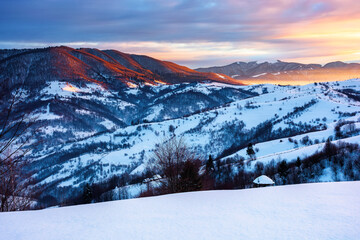 winter mountain landscape at sunrise. trees and fields on snow covered hills. ridge in the distance beneath a dramatic sky with clouds. beautiful carpathian countryside