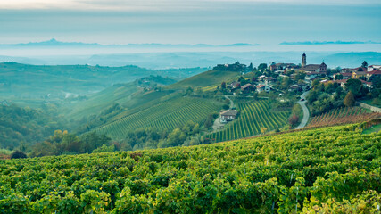 Fototapeta na wymiar Autumn village in Barolo region (Italy)