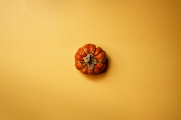 Little pumpkin over yellow background