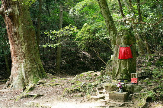 58 Best 首切り Images Stock Photos Vectors Adobe Stock