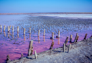 Salt, brine and mud of pink salty Sivash Lake near Azov Sea, colored by micro algae...