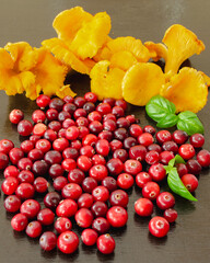 raw, leaf, sour, cranberry, wild, macro, forest, bowl, season, cooking, table, natural, autumn, tasty, cherry, nature, bright, health, delicious, nutrition, cranberries, closeup, plant, vegetarian, an